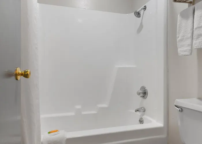 Finest Sheraton Hotels in Columbia, South Carolina